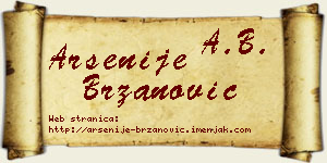 Arsenije Brzanović vizit kartica